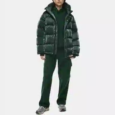 ARITZIA Super Puff Liquid Shine