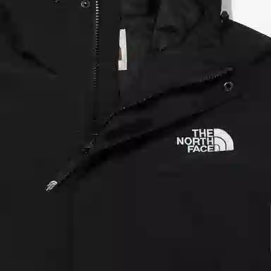 THE NORTH FACE LOGO