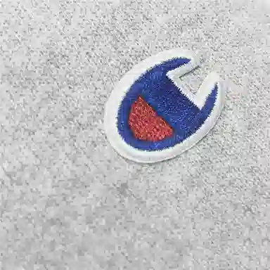 Champion Reverse Weave Hood