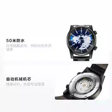 Sea-Gull Mechanical Series