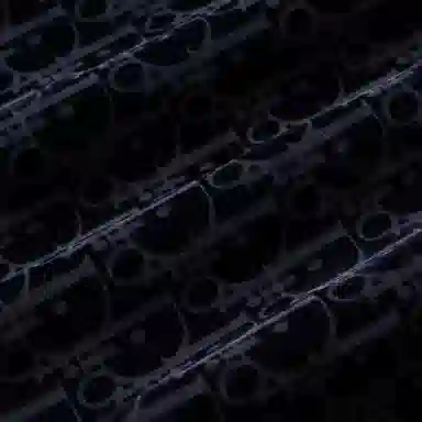 DIOR FW22 Logo