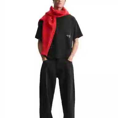 ZARA T