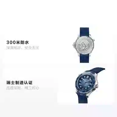 OMEGA Seamaster 300M 210.32.42.20.03.002