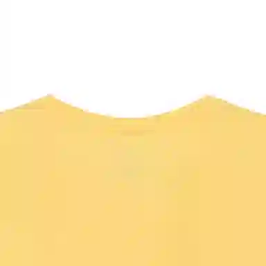 Polo Ralph Lauren Logo T