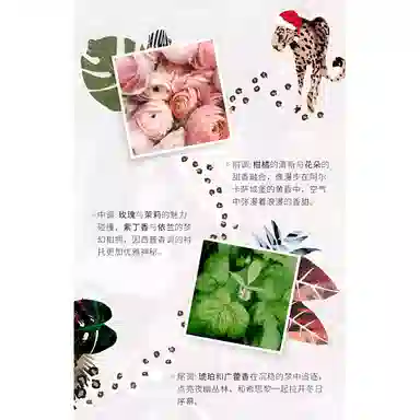 Sisley Eau du Soir EDP