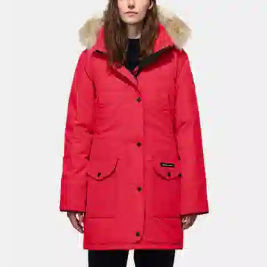 Canada Goose Trillium