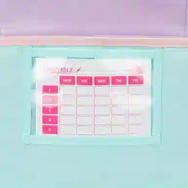 THE NORTH FACE PREPPY