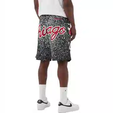 Mitchellness NBAlogo SW