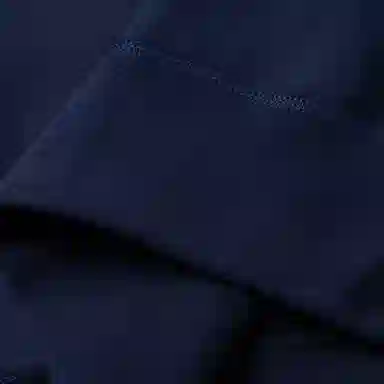 Polo Ralph Lauren Logo