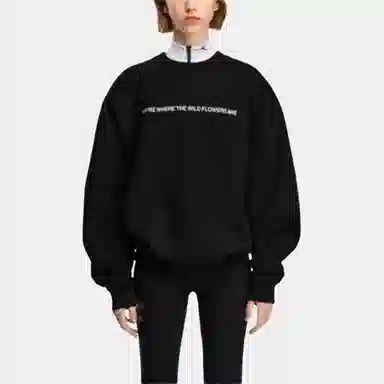 Canada Goose Snow Goose FW25