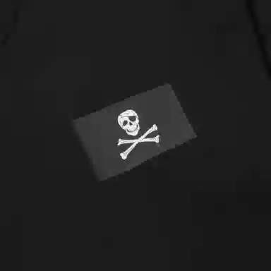 THE NORTH FACE M's Conrads Flag T