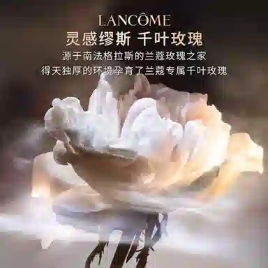 Absolue Not Your Rose EDP 100ml