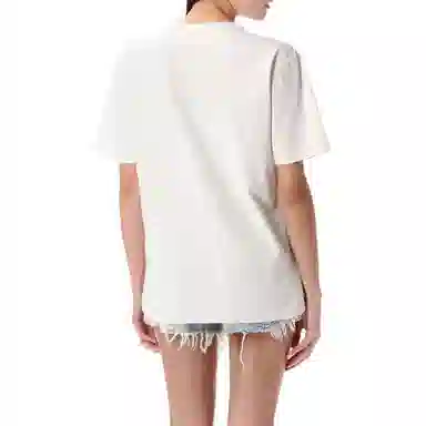 alexander wang T