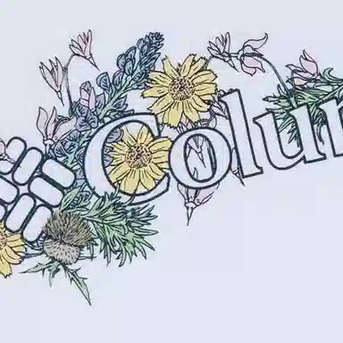 Columbia LOGO T