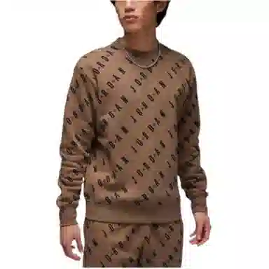 Jordan Logo Hoodie Brown