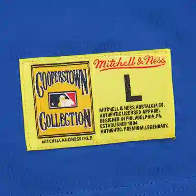 Mitchell Ness x MLB Cubs PLEASURES Neon Nights Premium T