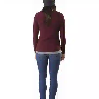 Arcteryx DELTA LT Zip Neck Logo