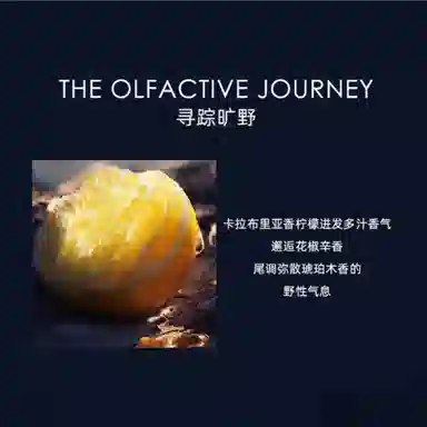 Dior Sauvage Gift Set