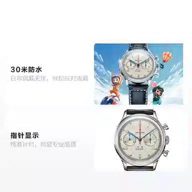 Sea-Gull 819.87.1963FLY