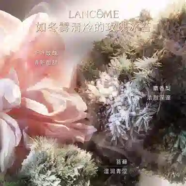 Absolue Not Your Rose EDP 100ml