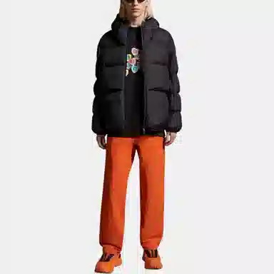 Moncler Alnair Short Down Jacket