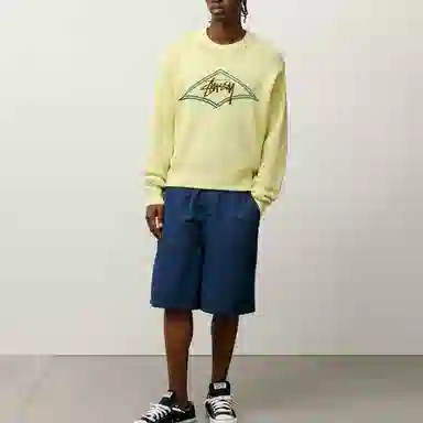 Stussy SS25 logo