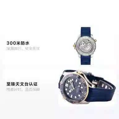 OMEGA 42mm 210.22.42.20.03.001