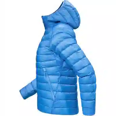 Arcteryx Cerium LT 850logo