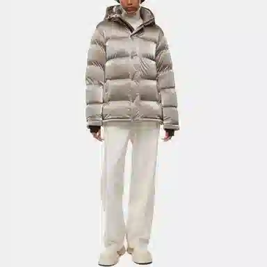 ARITZIA Super Puff Liquid Shine