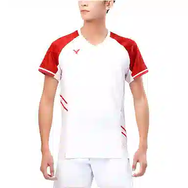 VICTOR V T