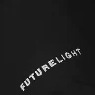 THE NORTH FACE 1994 Mountain JKT Logo