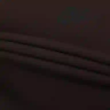 Nike AS W NSW TCH FLC SS TOP Coffee