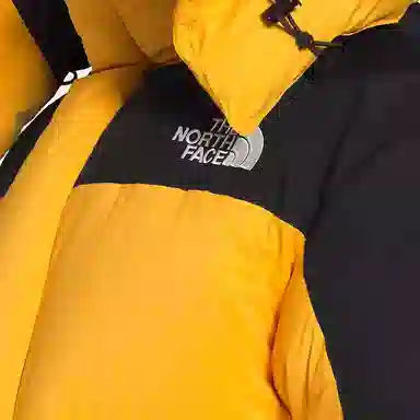 The North Face 1994 Retro Nuptse Jacket
