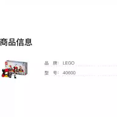 LEGO 100 40600