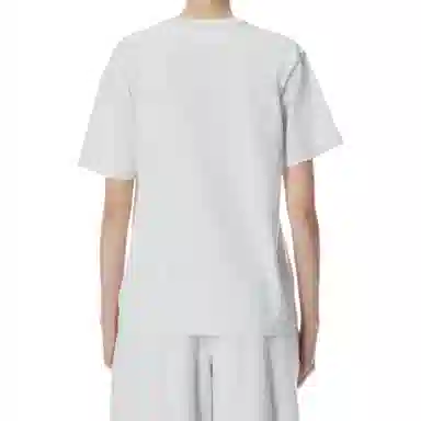 alexander wang T