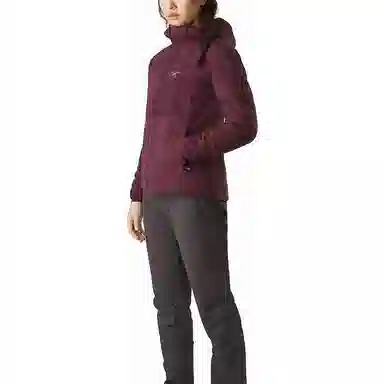 Arcteryx Proton LT Hoody