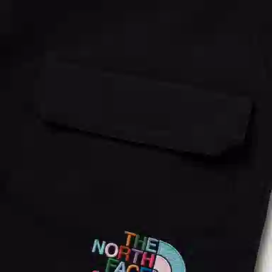 GUCCI x The North Face