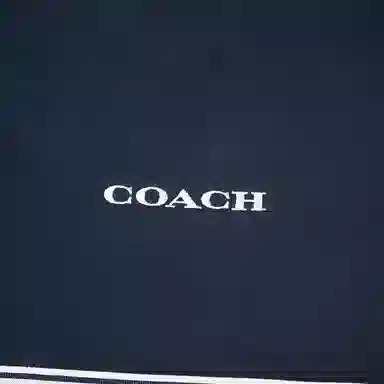 COACH FW22 Letter Print Half-Zip Sweatshirt Navy