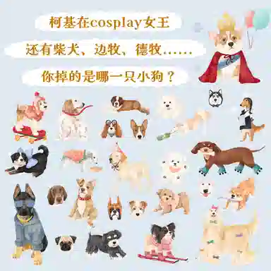 DREAM FRIENDS 1000pcs