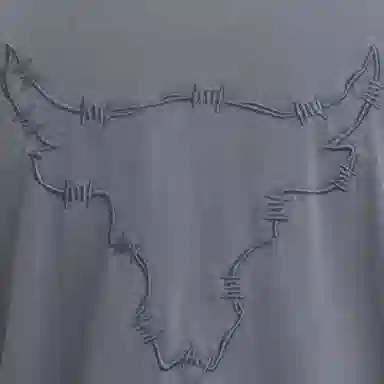 Under Armour Project Rock T