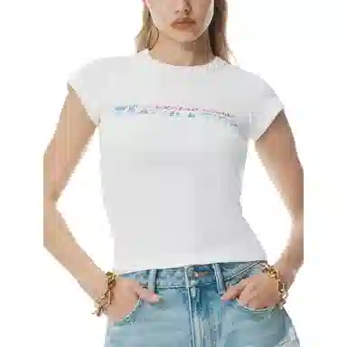 alexander wang Logo T