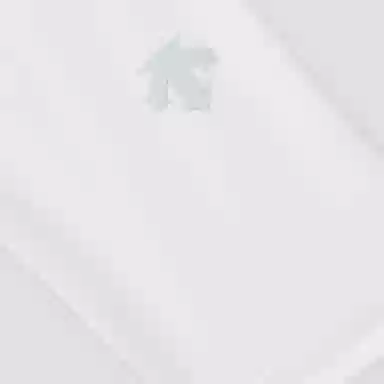 DESCENTE DESCENTEGOLFPRO T WT-Brilliant White