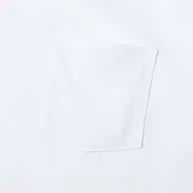 THE NORTH FACE PURPLE LABEL LogoT 2