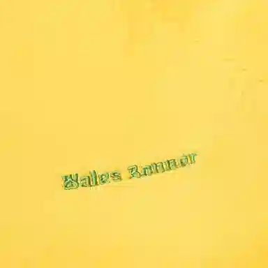 adidas originals x Wales Bonner SS24