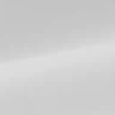 KITH Capsule Logo Tee White