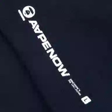 Aape 1