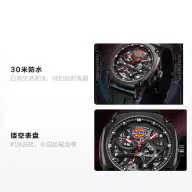 Dickies 30 220M60LYXCL-469