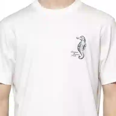 EMPORIO ARMANI SS25 T