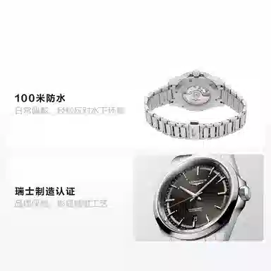 LONGINES 100 41mm L3.830.4.52.6