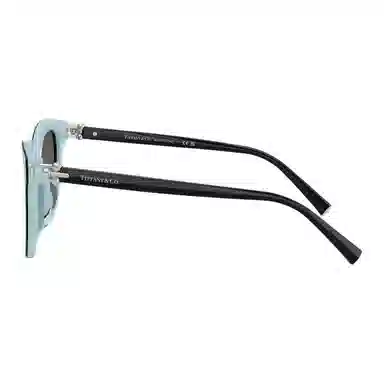 Tiffany & Co. Irregular Acetate Sunglasses Black